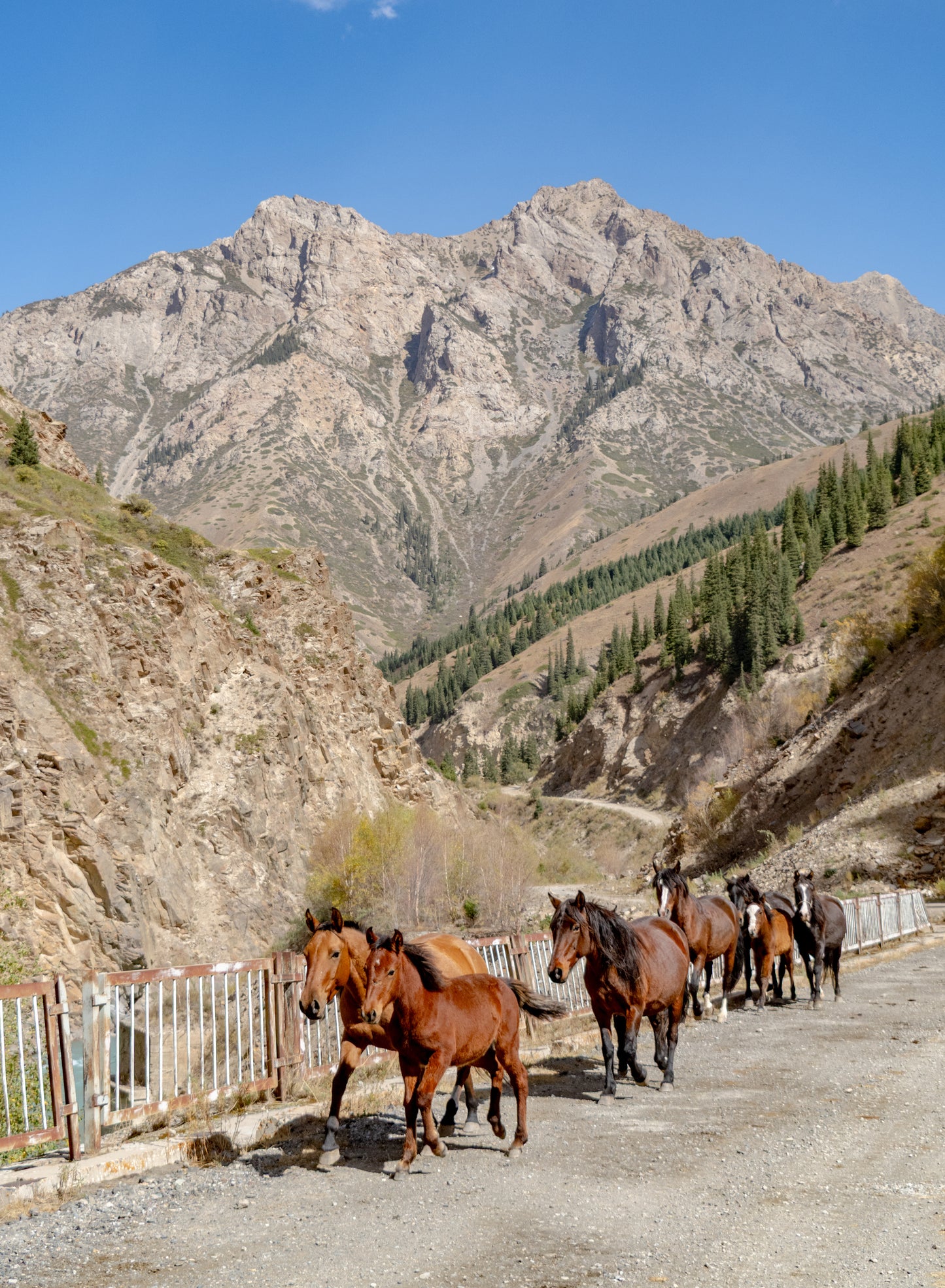 Viaggio kayak in Kyrgyzstan